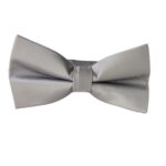 Παπιγιόν γκρι ασημί