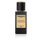 LABYRINTH OF EMOTIONS